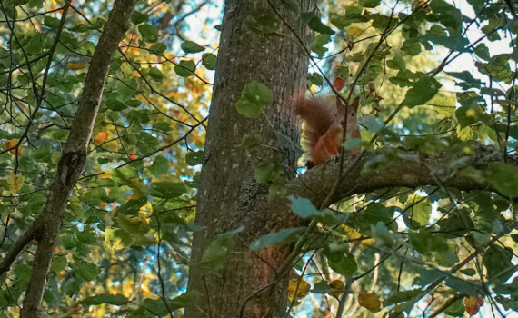 Иларионов день: 3 ноября — порог между осенью и зимой. Что можно и нельзя делать, приметы