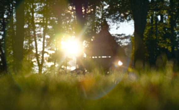 3 ноября — праздники: День домохозяйки и домохозяина, именинники по церковному календарю и не только
