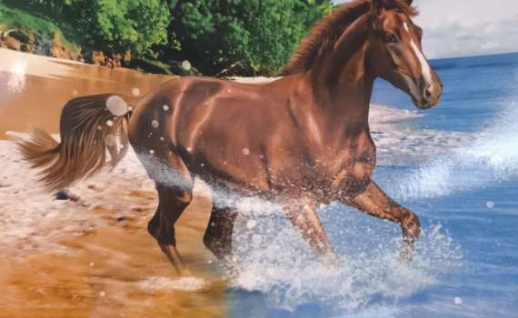 Китайский гороскоп на 2026 год: с 7 апреля эти три знака входят в период удачи — время возможностей Китайский гороскоп на 2026 год: с 7 апреля эти три знака входят в период удачи — время возможностей